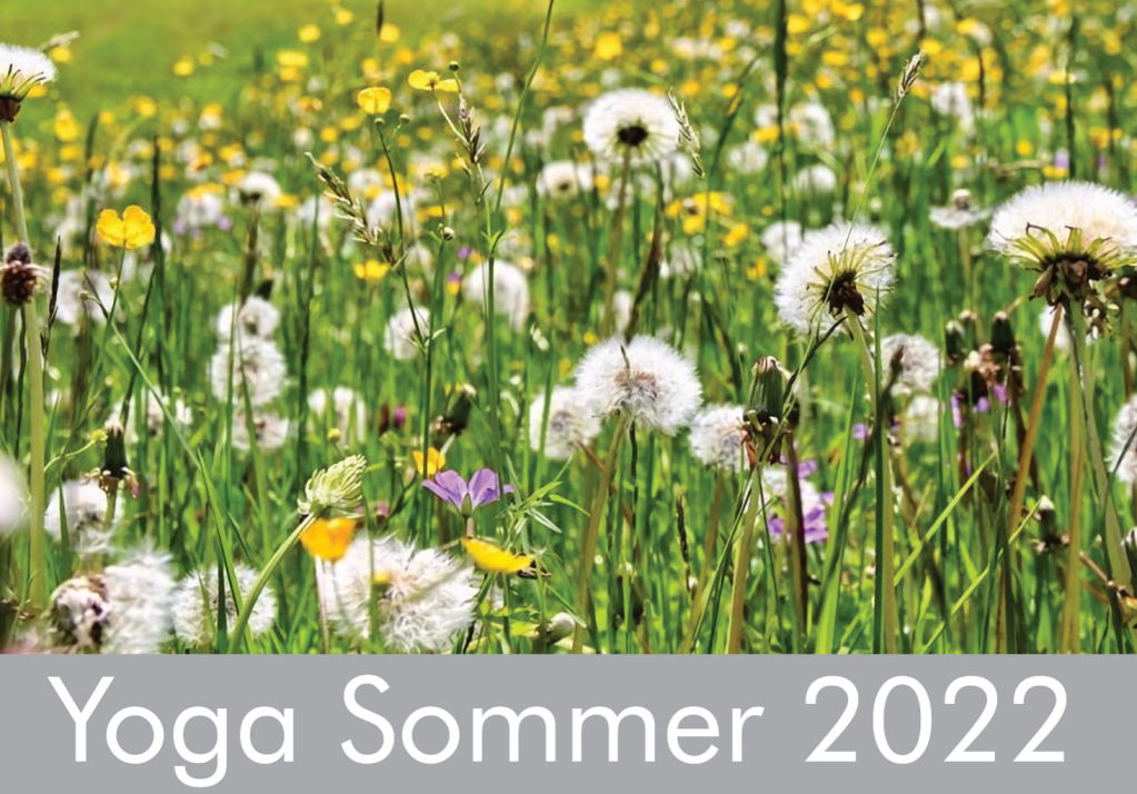 Yoga auf der Wiese 2022